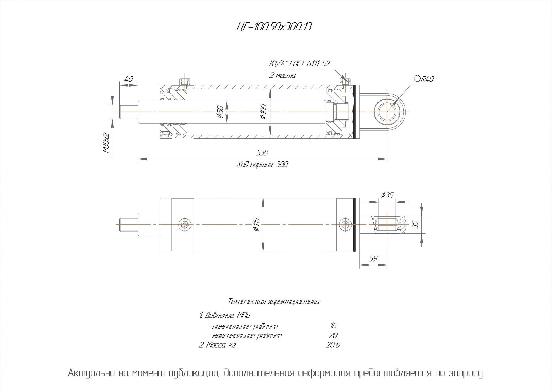 ЦГ-100.50х300.13 Гидроцилиндр