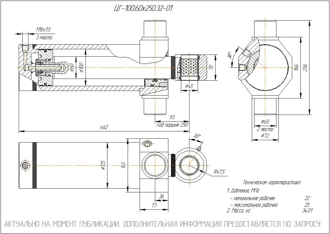 ЦГ-100.60х250.32-01 Гидроцилиндр