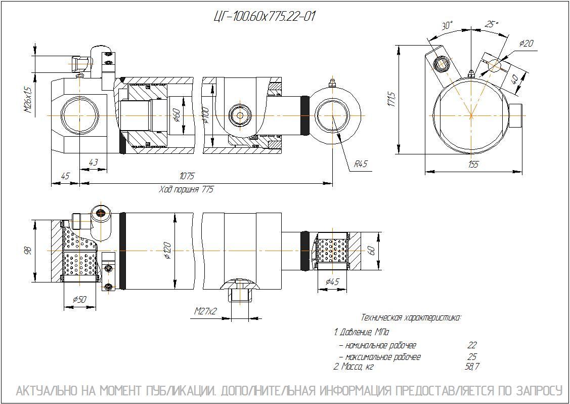 ЦГ-100.60х775.22-01 Гидроцилиндр