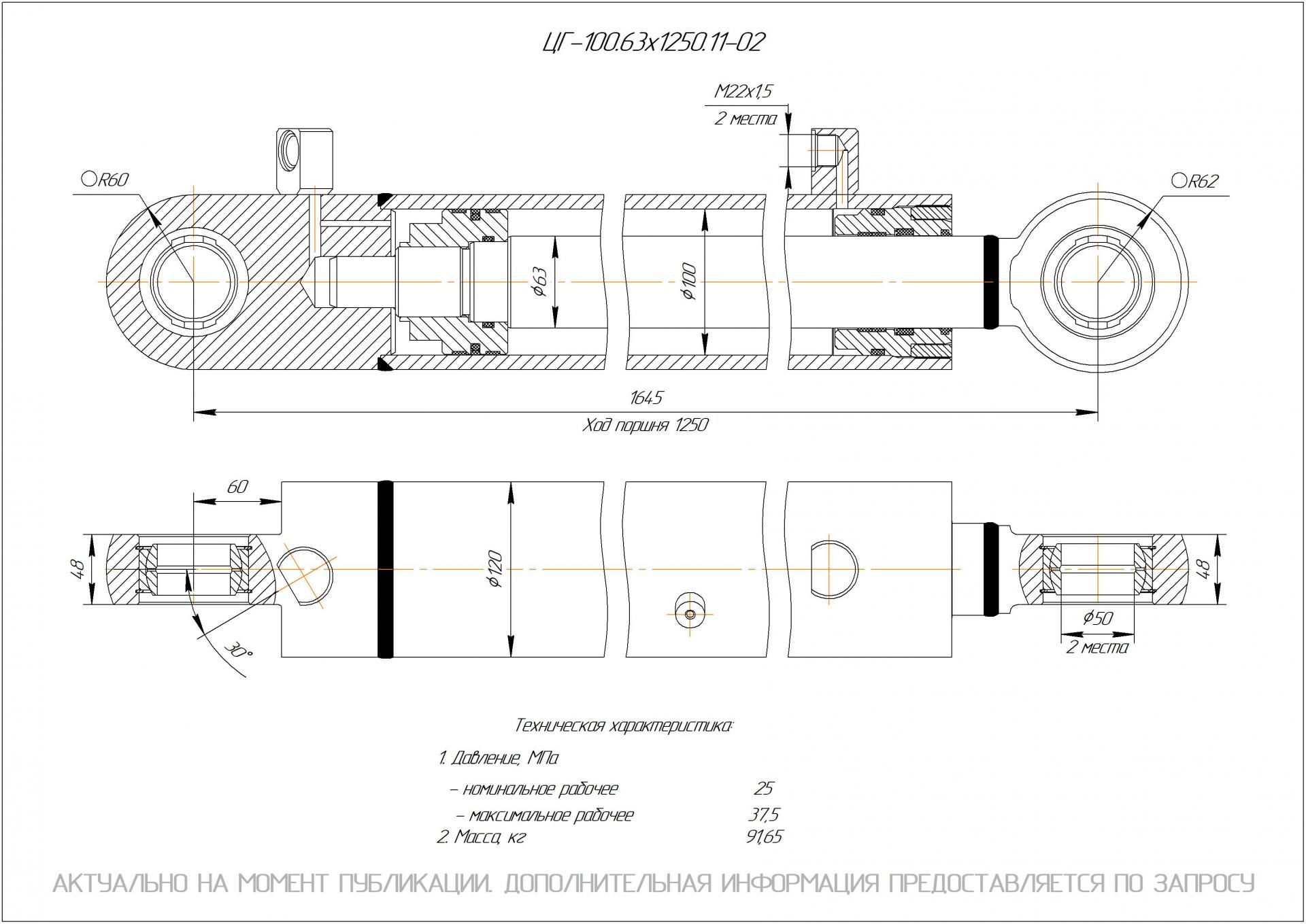 ЦГ-100.63х1250.11-02 Гидроцилиндр