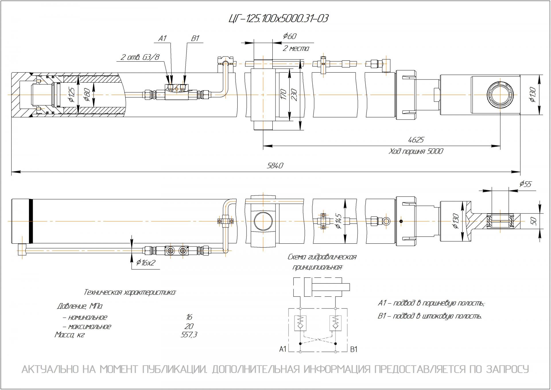  Чертеж ЦГ-125.100х5000.31-03 Гидроцилиндр
