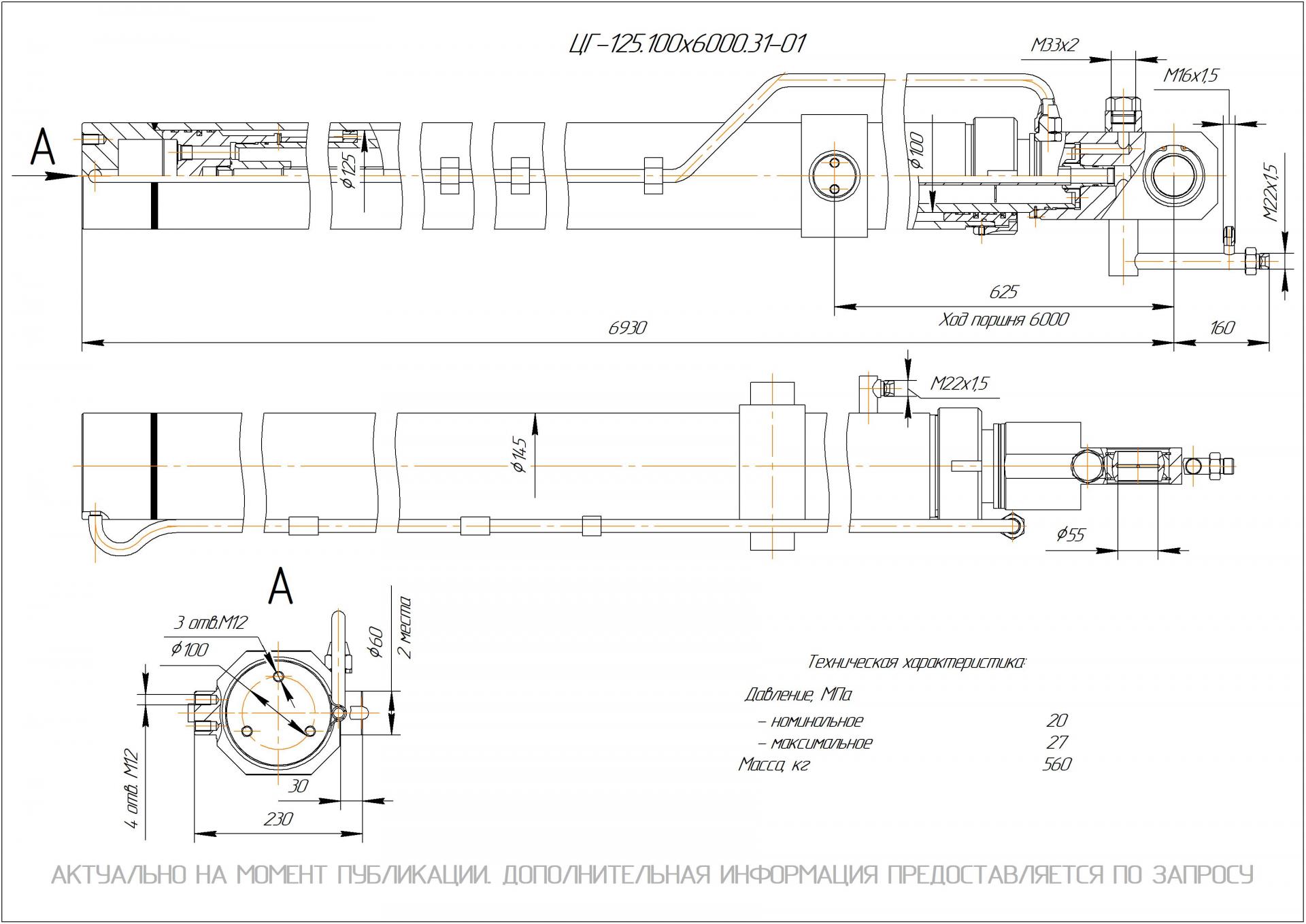 ЦГ-125.100х6000.31-01 Гидроцилиндр