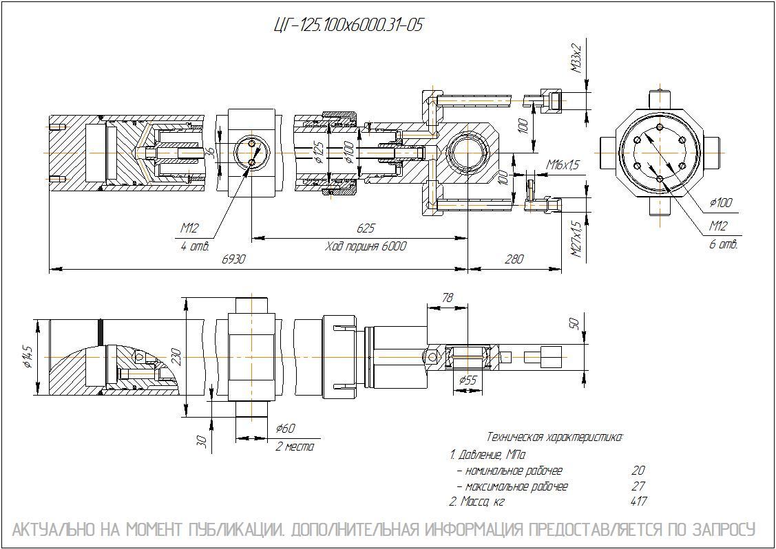 ЦГ-125.100х6000.31-05 Гидроцилиндр