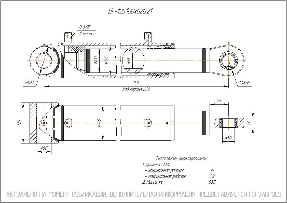 ЦГ-125.100х626.21 Гидроцилиндр