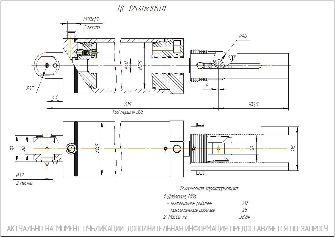 ЦГ-125.40х305.01 Гидроцилиндр