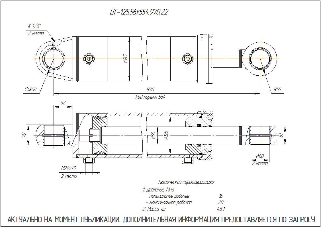 ЦГ-125.56х554.970.22 Гидроцилиндр