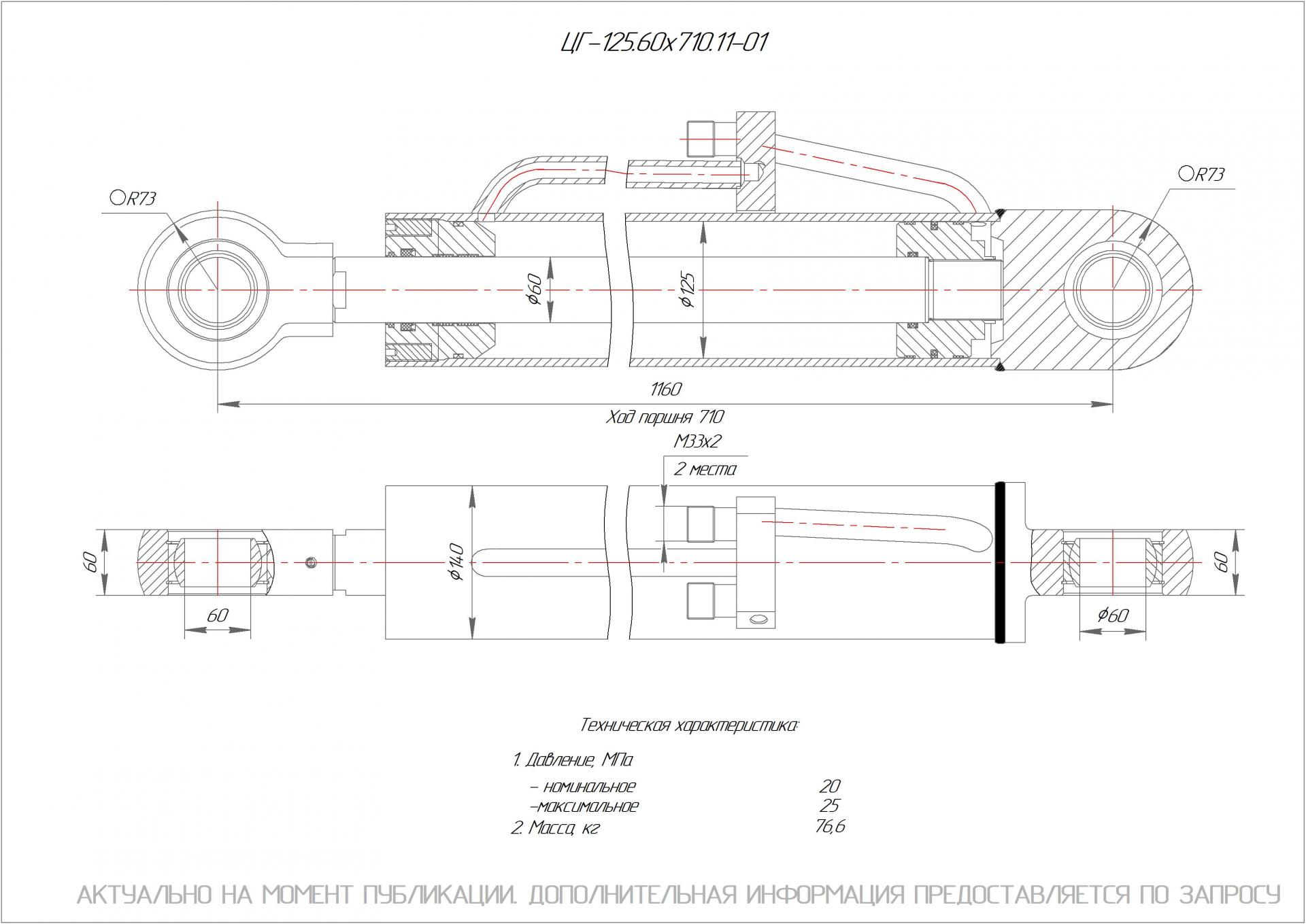 ЦГ-125.60х710.11-01 Гидроцилиндр