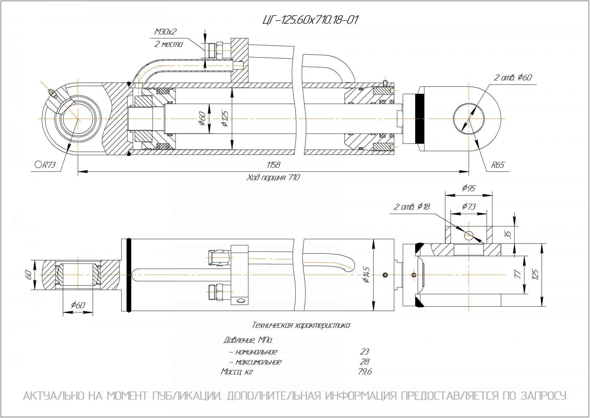 ЦГ-125.60х710.18-01 Гидроцилиндр