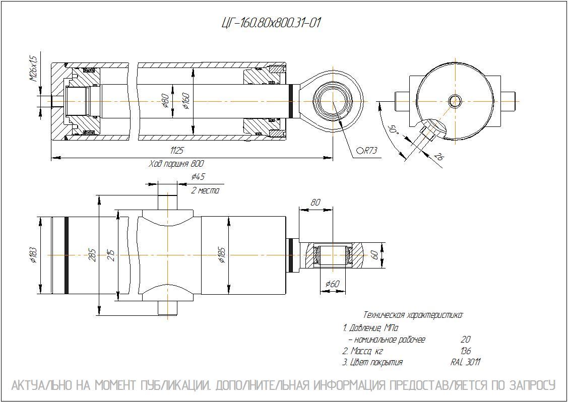 ЦГ-160.80х800.31-01 Гидроцилиндр