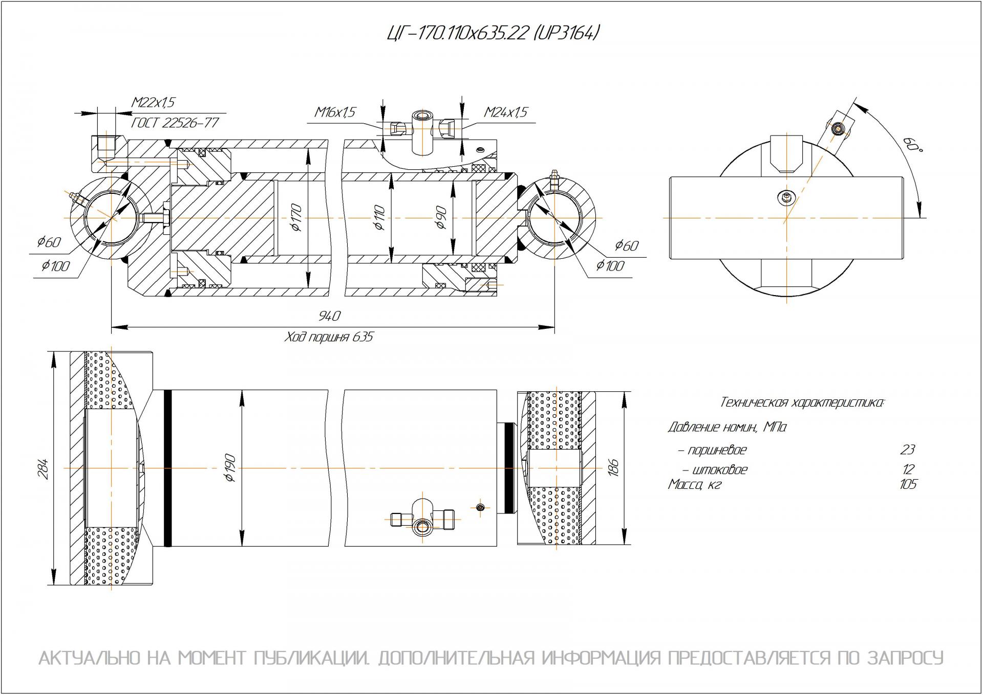 ЦГ-170.110х635.22 Гидроцилиндр