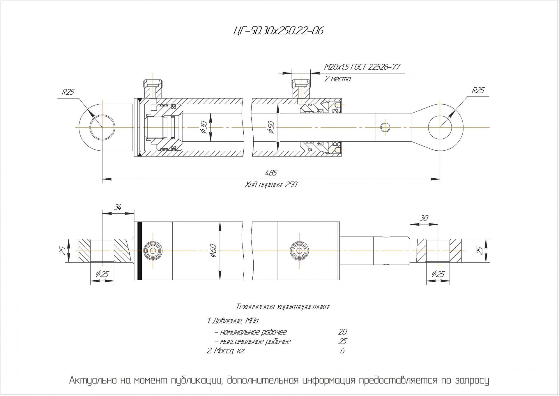 ЦГ-50.30х250.22-06 Гидроцилиндр