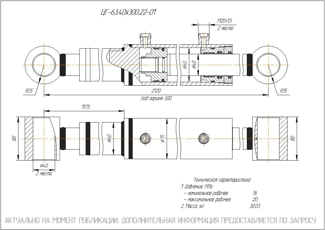 ЦГ-63.40х300.22-01 Гидроцилиндр