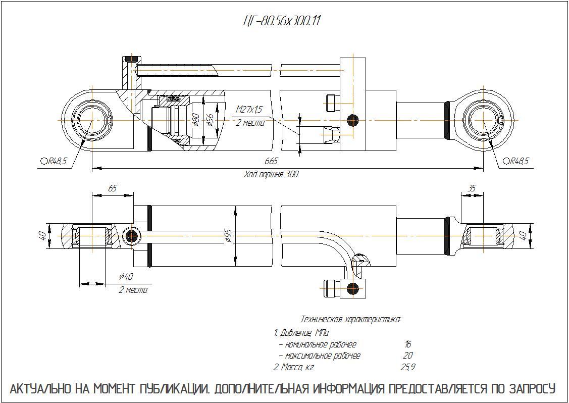 ЦГ-80.56х300.11 Гидроцилиндр